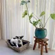Kubu Rattan Dog Basket - stylish and robust pet baskets