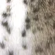 Snow Leopard Imitatiebont Plaid 100x110