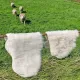 Four sheep approach two white sheepskin rugs hanging from a metal fence in a grassy field.