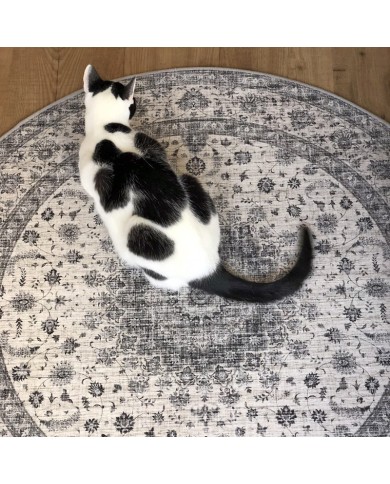 Persian Rug Yazd Persian Rug Yazd