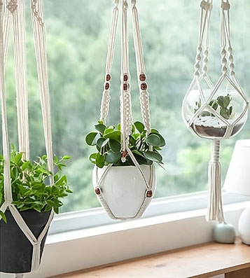 Drie potplanten hangend in macramé plantenhangers voor een raam